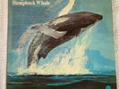 Songs Of The Humpback Whale VINYL LP ALBUM CAPITOL RECORDS ST-620