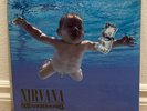 Nirvana Nevermind Picture Disc Vinyl