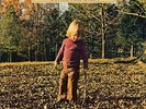 ALLMAN BROTHERS BAND - Brothers and Sisters Vinyl LP. New and Unplayed
