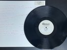 THE BEACH BOYS Today  2013 QRP Stereo Test Pressing 12