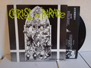Christ On Parade Sounds Of Nature original press 1980s lp hardcore punk PUSHEAD