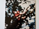 Pink Floyd Obscured By Clouds Harvest 11078 Prog Rock LP