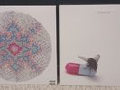 ️Red Hot Chili Peppers I’m Beside You RSD  3668/5000 / I'm With You 1st Press