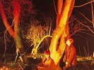 Echo And The Bunnymen - Crocodiles - Vinyl Record