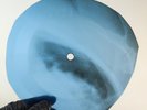 BEATLES REVOLUTION X-Ray USSR Record Roentgen Bones Ribs Music Vinyl
