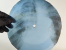 BLACK SABBATH WIZARD X-Ray USSR Record Roentgen Bone Ribs Music Vinyl