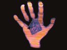 George Harrison Living in the Material World (Vinyl) 12