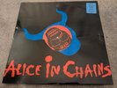 Alice in Chains Them Bones 12