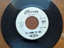 1960s Rare 45 The Elite My Confusion / I'll Come To You Charay Records C31