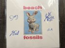 Beach Fossils Bunny Vinyl Signed Limited /15