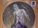 CANNIBAL CORPSE - VILE 2013 US MB Picture Disc Vinyl Record LP NEW