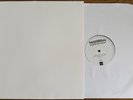 THE MOLOTOVS WASTED ON YOUTH LIMITED EDITION WHITE LABEL TEST PRESS VINYL ALBUM