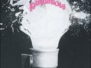 The Mystery Lights Purgatory (Vinyl)