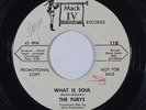 Northern Soul 45 FURYS What Is Soul/I Lost My Baby on Mack IV VG+ promo