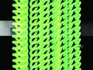 DAPHNI 