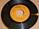 GORDON LIGHTFOOT RACE AMONG THE RUINS - THE WRECK OF THE EDMUNF FITZGERALD 45RPM