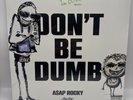 ASAP ROCKY DON'T BE DUMB 2LP Rocky Rugahand Rough Trade Exclusive IN HAND