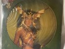 Cher – Take Me Home – 1979 Picture Disc – Sealed – Casablanca NBPIX 7133