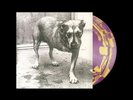 Alice in Chains Purple & Yellow Swirl Self-Titled D2C 30th Anniversary Vinyl LP