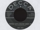 Roy Hall - Whole Lotta Shakin' Goin' On on Decca Rockabilly 45