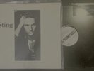 ‘Nothing Like the Sun’ Sting (2 LP SP-6402) & ‘We’ll Be Together’ Promo 33 1/3