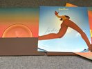 Lorde Solar Power Deluxe LP 7
