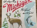 Sufjan Stevens - Michigan - 2 LP Gatefold with Bonus Tracks