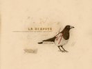LA DISPUTE SOMEWHERE AT THE BOTTOM OF THE RIVER BETWEEN VEGA LP