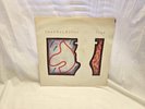 Spandau Ballet True Vinyl LP Record