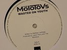 THE MOLOTOVS Wasted On Youth Limited Edition White Label Test Press Vinyl Album