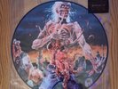 CANNIBAL CORPSE-Eaten Back to Life 2013 US MB Picture Disc Vinyl Record LP ●READ