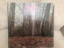 Twink Think Pink Gatefold Rare Psych Monster LP VG++