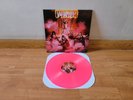 W.A.S.P.- WASP lp IMPORT mAGeNta wAX