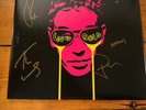 Shed Seven Liquid Gold Pink lp Signed front cover with signed card.