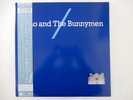 Echo And The Bunnymen  Korova P-6195 Japan  VINYL LP OBI