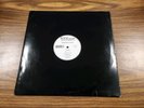 CHANDA TERESE*I GUESS*VINYL LP D.E.P. RECS DEP003 LP IS EXCELLENT 1995 FREESTYLE