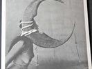 Ghost Bath – Moonlover LP VINYL BLACK METAL 2015 HALF MOON SEALED OVP Austere