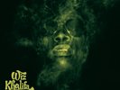 Wiz Khalifa Rolling Papers (Vinyl)