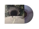 The Backseat Lovers - When We Were Friends - Galaxy Colored Vinyl LP - Brand New