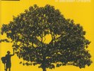 JOHNSON, Jack - In Between Dreams (reissue) - Vinyl (gatefold yellow vinyl LP)