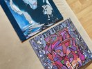 2x Siouxsie and the Banshees - Vinyl LP | Bundle
