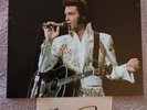 ELVIS PRESLEY SIGNATURE WHITE SCARF&ALOHA FROM HAWAII CONCERT PHOTO 8X10 LT 2 HC