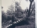 Timber Timbre (Timber Timbre) LP - 180g [Arts & Crafts, 2009, Canada] **VG+**