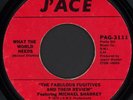 THE FABULOUS FUGITIVES What The World Needs 45 J'Ace Rare 1975 Memphis Funk Soul