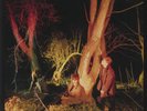 ECHO & THE BUNNYMEN - Crocodiles (remastered) - Vinyl (180 gram vinyl LP)