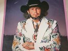 David Allan Coe Greatest Hits Vinyl