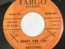 Aquatones - Crazy For You / Wanted 45 Fargo Doo Wop Hot Rod Promo