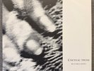 Cocteau Twins - Blue Bell Knoll (OG 1988 US Vinyl, SRC Press, C1-90892)