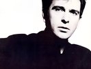 PETER GABRIEL 