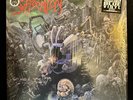 Suffocation Effigy Of The Forgotten Death Metal Vinyl LP 2023 Listenable Blue